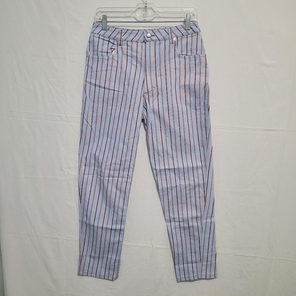 Eckhaus Latta Blue Striped Pants Size 29
